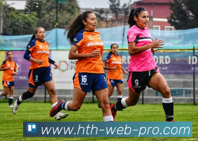 App Interface Preview